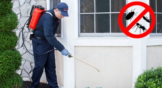Kadınhanı Gümüşkurt İlaçlama böcek ilaçlama ve haşere kontrolü — ilaclama-tr.com